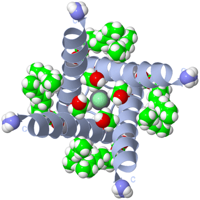 Image Biological Unit 1