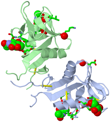 Image Biol. Unit 1 - sites