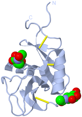 Image Biological Unit 2