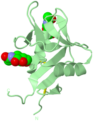 Image Biological Unit 3