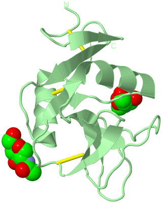 Image Biological Unit 3