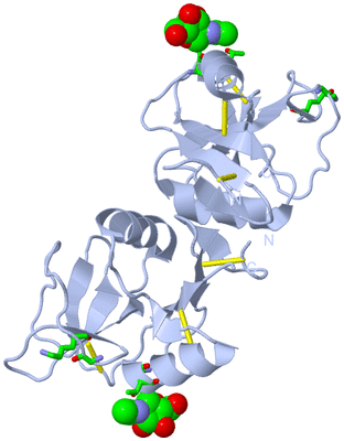 Image Biol. Unit 1 - sites