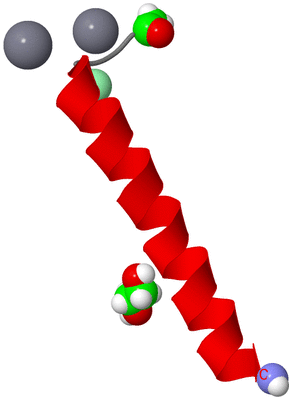 Image Asymmetric Unit