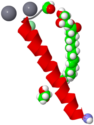 Image Asymmetric Unit