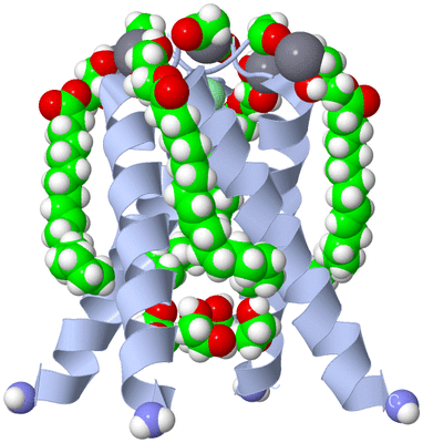 Image Biological Unit 1