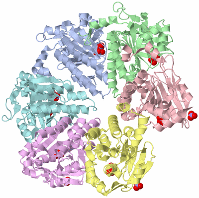 Image Biological Unit 1