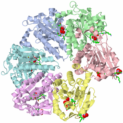 Image Biol. Unit 1 - sites