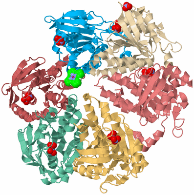 Image Biological Unit 2