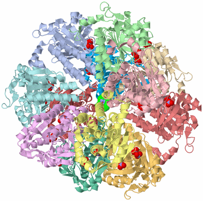 Image Biological Unit 3