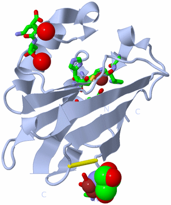 Image Biol. Unit 1 - sites