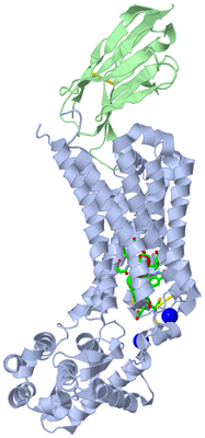 Image Asym./Biol. Unit - sites