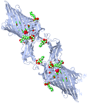 Image Biological Unit 1