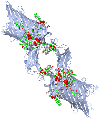 Image Biol. Unit 1 - sites