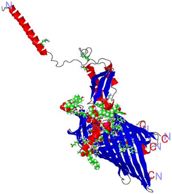 Image Asym. Unit - sites