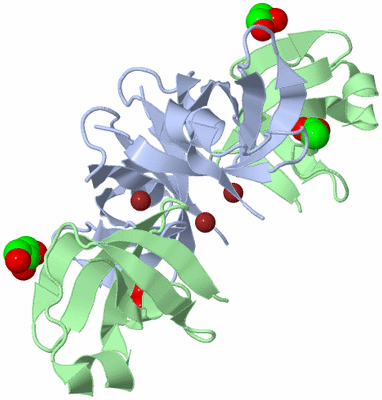 Image Biological Unit 1