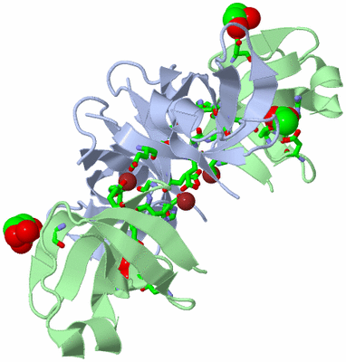 Image Biol. Unit 1 - sites