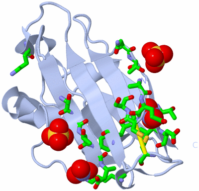 Image Biol. Unit 1 - sites