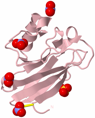 Image Biological Unit 3