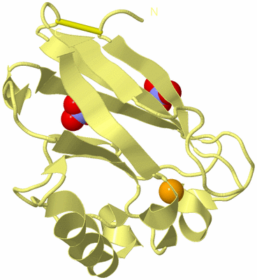 Image Biological Unit 4