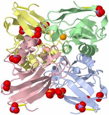 Image Biological Unit 5