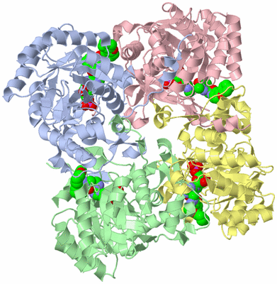 Image Asym./Biol. Unit