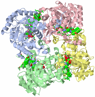 Image Asym./Biol. Unit - sites