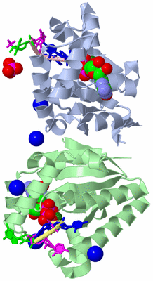 Image Asym./Biol. Unit