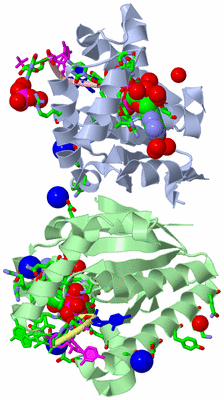 Image Asym./Biol. Unit - sites