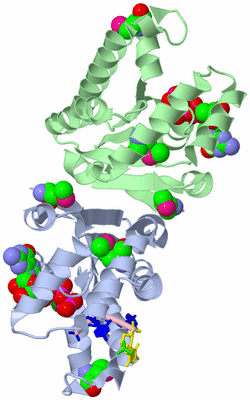 Image Asym./Biol. Unit