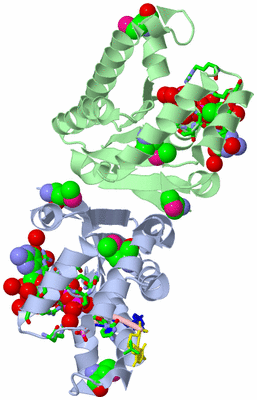 Image Asym./Biol. Unit - sites