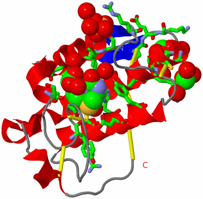 Image Asym./Biol. Unit - sites