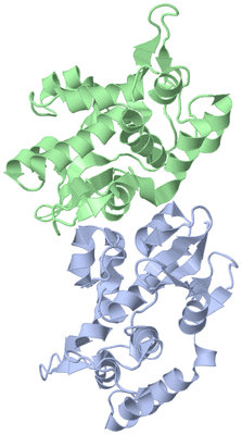 Image Asymmetric Unit