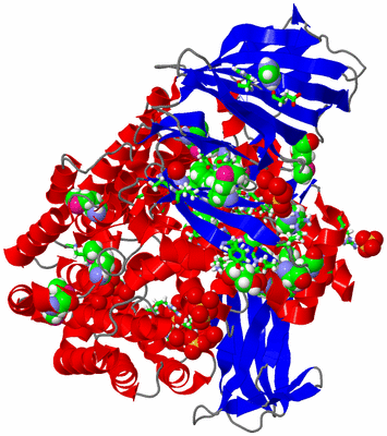 Image Asym./Biol. Unit - sites