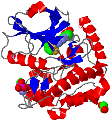 Image Asym./Biol. Unit