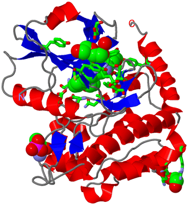 Image Asym./Biol. Unit - sites