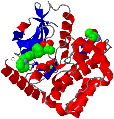 Image Asym./Biol. Unit