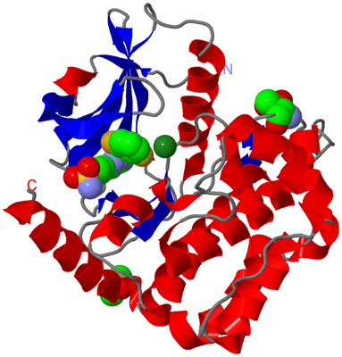 Image Asym./Biol. Unit