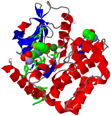 Image Asym./Biol. Unit - sites