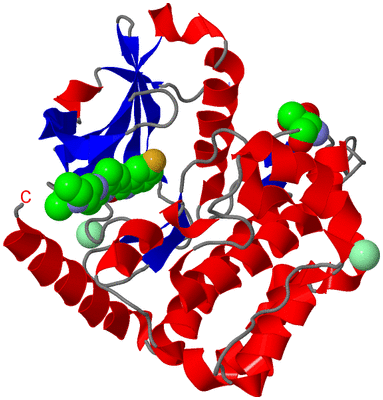 Image Asym./Biol. Unit