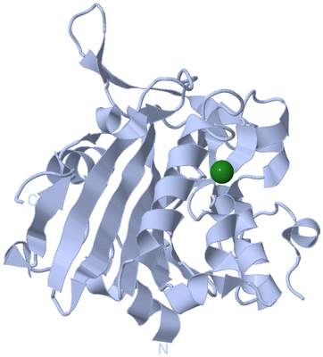 Image Biological Unit 3