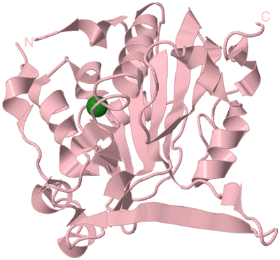 Image Biological Unit 5