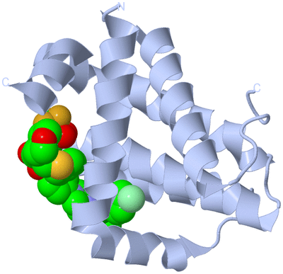 Image Biological Unit 1