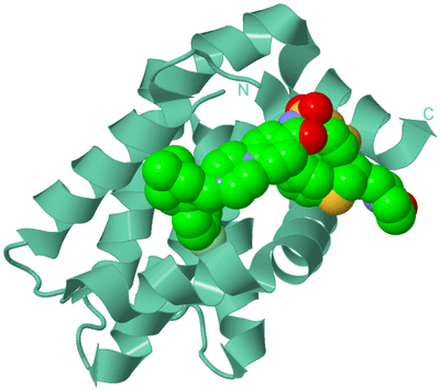 Image Biological Unit 10