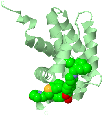 Image Biological Unit 11