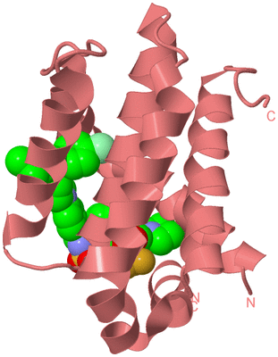 Image Biological Unit 12