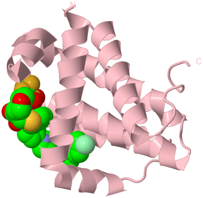 Image Biological Unit 2