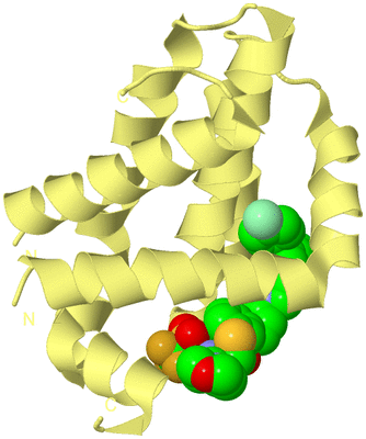 Image Biological Unit 3