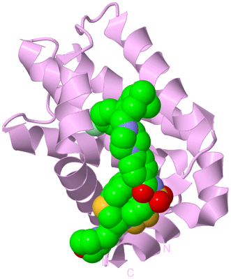 Image Biological Unit 4