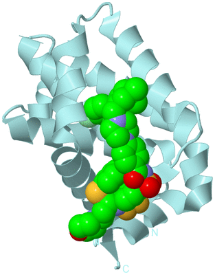 Image Biological Unit 5