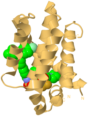 Image Biological Unit 6